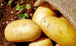 Dentro de un lugar cerrado y oscuro, las papas pueden durar hasta cuatro meses. Después de que tengan brotes, las papas ya no servirán. Foto: Pixabay