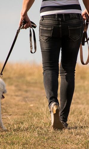 No utilices correas retráctiles. (Foto: Pixabay)