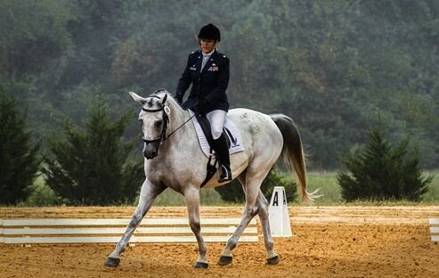 Instructor de equitación. Foto: Pixabay